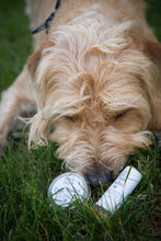 Vegan Paw Balm