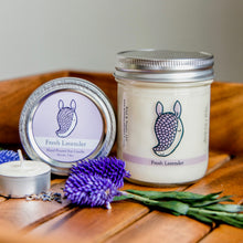 Armadillo Conservation Candle | Lavender Scent