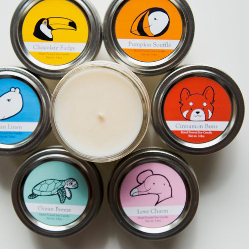 Small Wildlife Conservation Candles | 6 month Subscription ($9/mo+shipping)